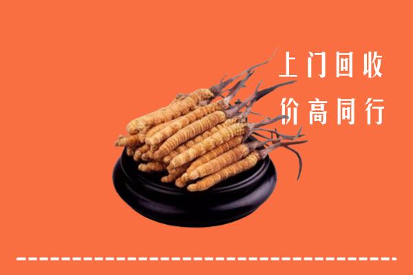 附近收购：汕头市潮南冬虫夏草回收多少钱每克