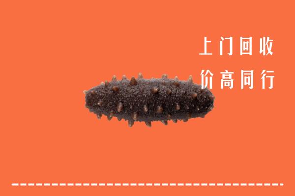 附近收购：汕头市潮南回收海参