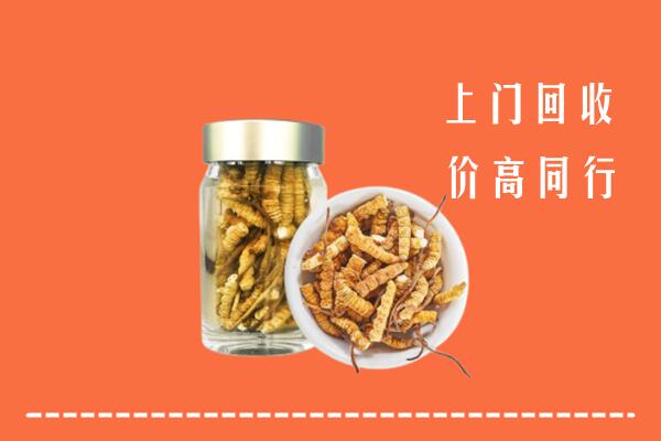 附近收购：汕头市潮南回收冬虫夏草