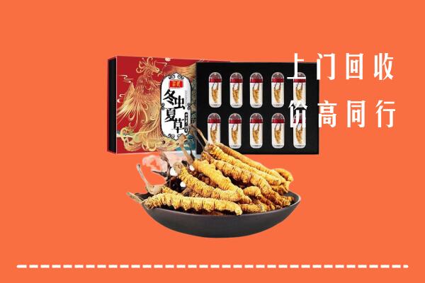 汕头市潮南回收虫草